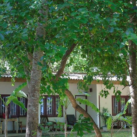 Talalla Coconut Hotel Экстерьер фото